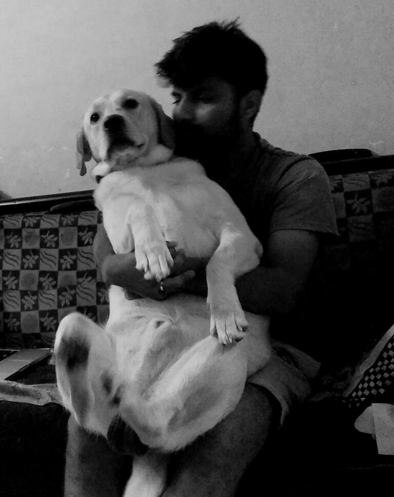 Liyo Dog rubber chew