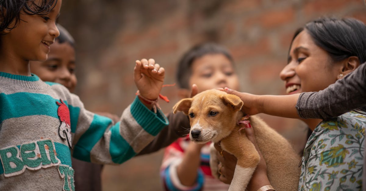 Children and a woman joyfully play with a cute puppy outdoors, showcasing love and friendship.