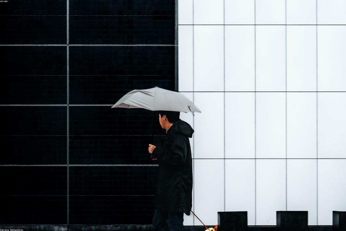 How to Stuff a Liyo Buddy: 3 Recipes That Last 45 Minutes